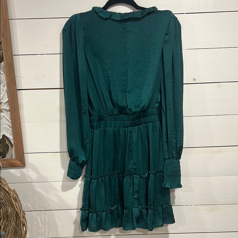 Green Ruffle Dress - Picture 4 of 5